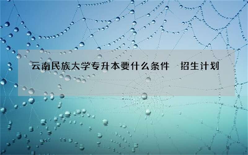 云南民族大学专升本要什么条件 招生计划